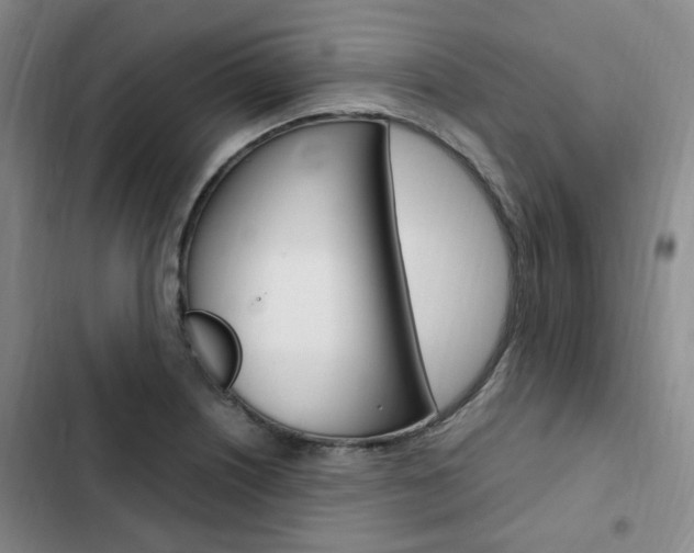 X0000103161226200808221144