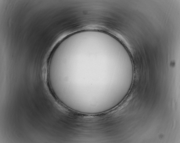 X0000103161227200808221144