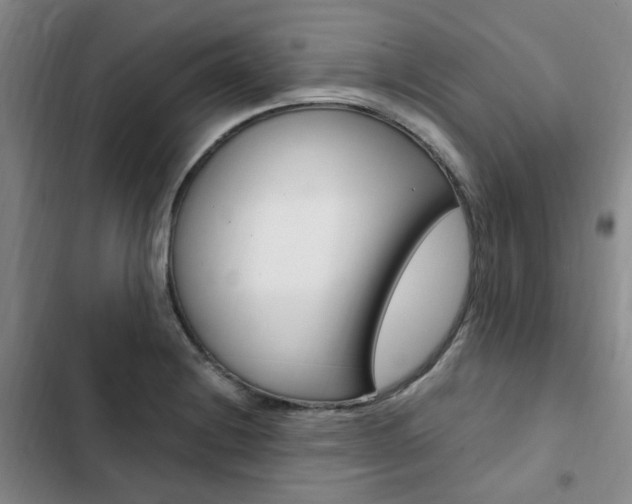 X0000103161228200808221144