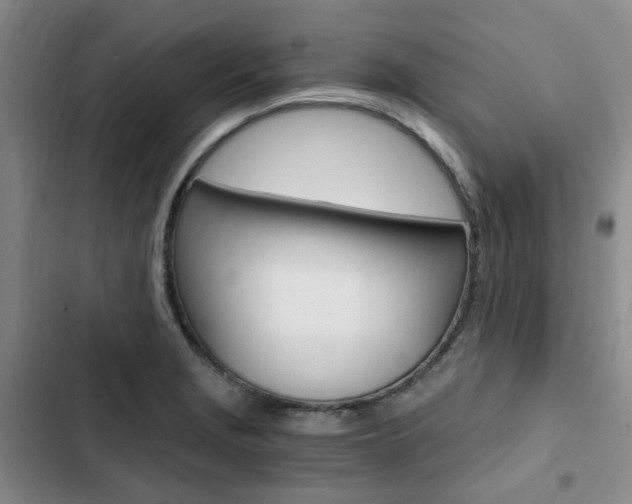 X0000103161229200808221144