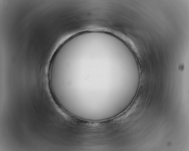 X0000103161231200808221144
