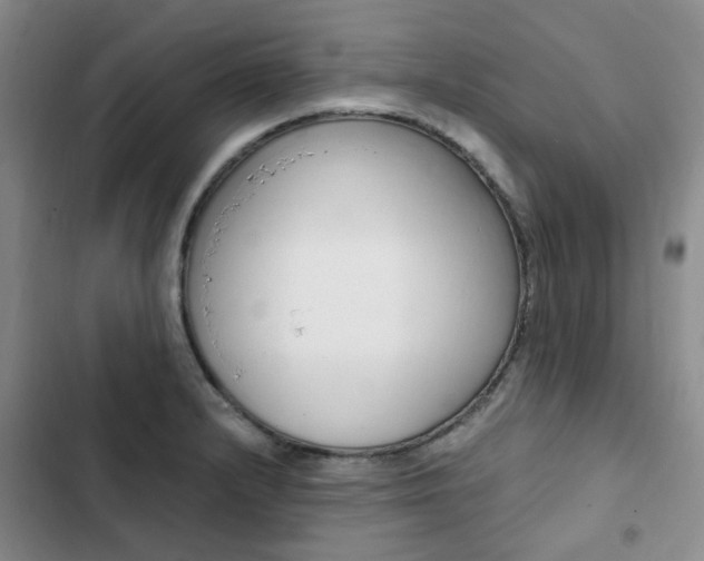 X0000103161232200808221144