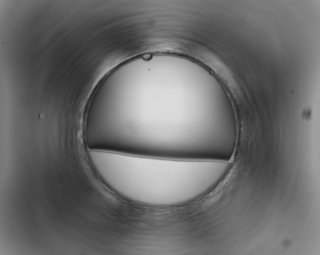 X0000103161234200808221144