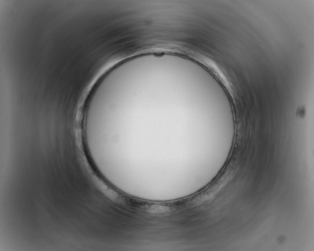 X0000103161235200808221144