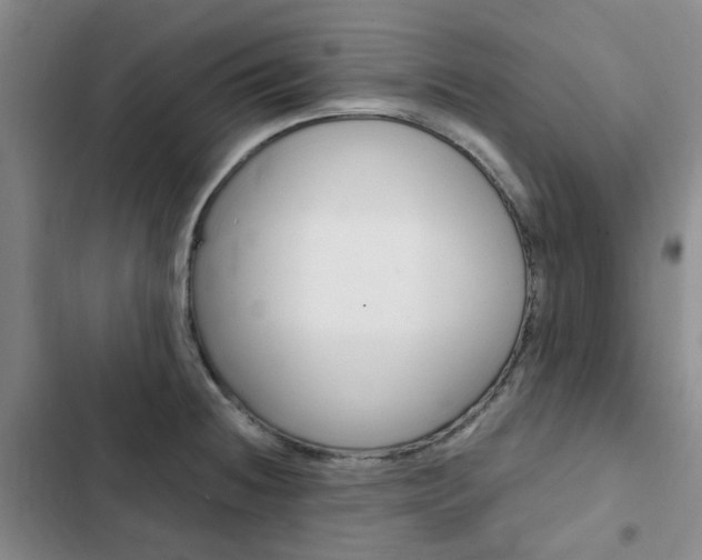 X0000103161236200808221144
