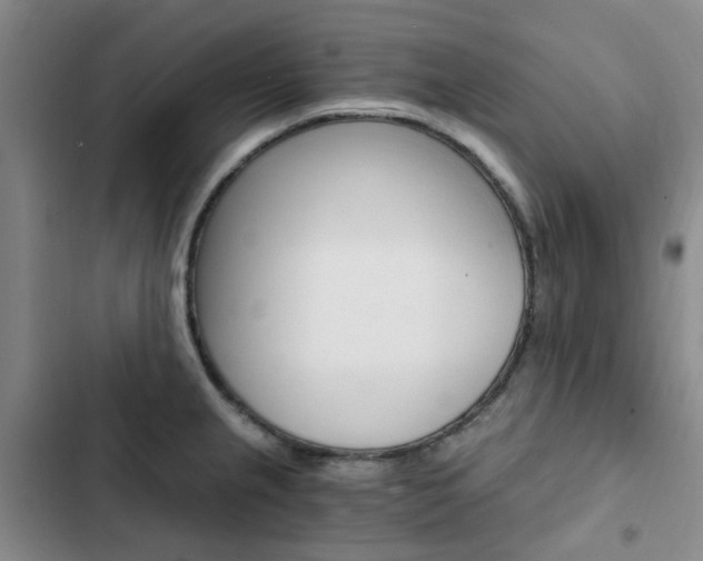 X0000103161237200808221144