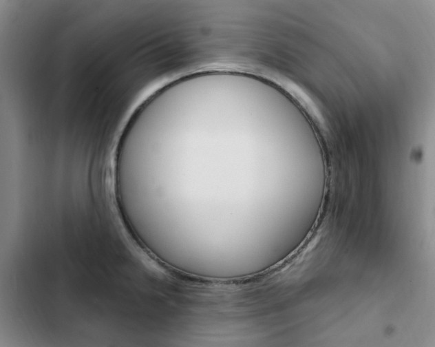 X0000103161238200808221144