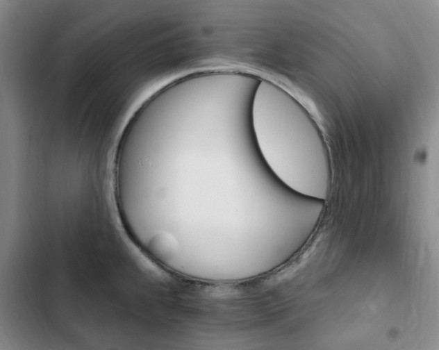 X0000103161239200808221144