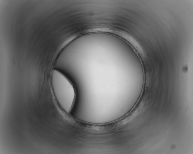 X0000103161241200808221144