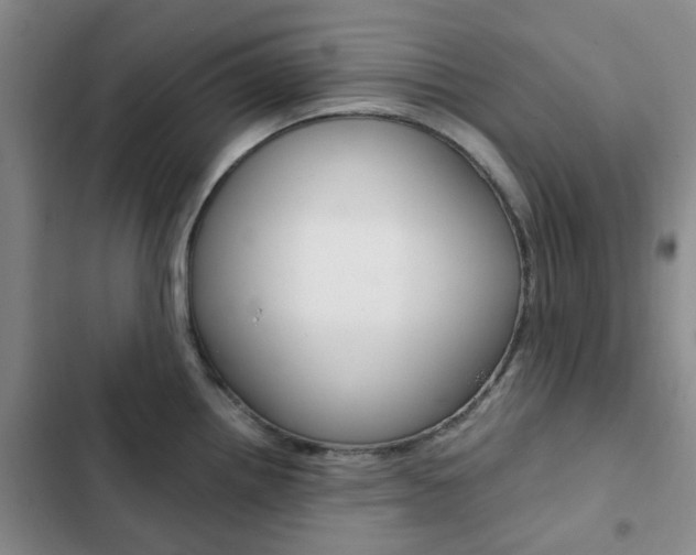 X0000103161242200808221144