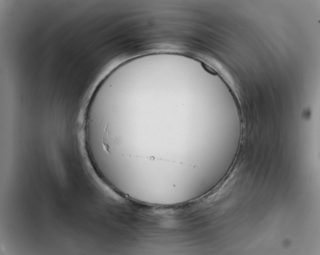 X0000103161243200808221144