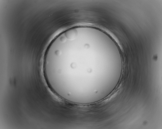 X0000103161245200808221144