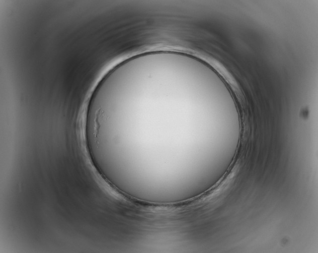 X0000103161246200808221144