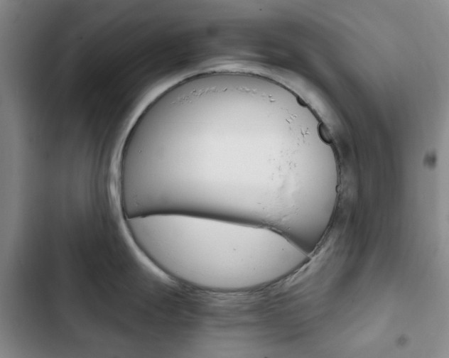 X0000103161247200808221144