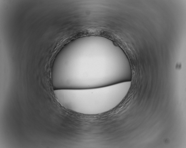 X0000103161249200808221144