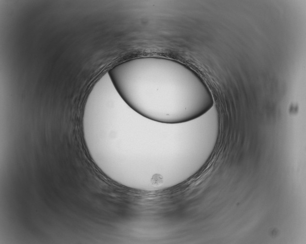 X0000103161251200808221144