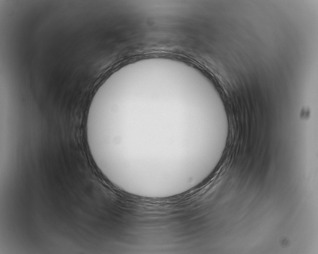 X0000103161252200808221144