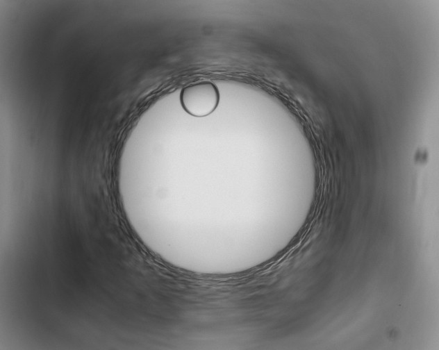 X0000103161253200808221143