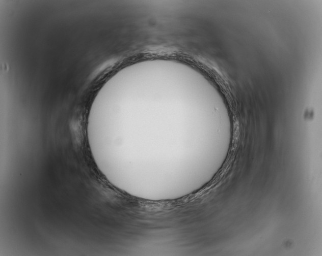 X0000103161254200808221143