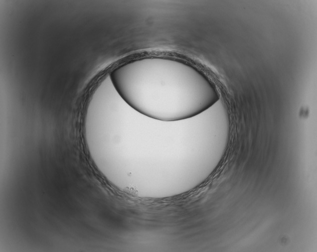 X0000103161255200808221143