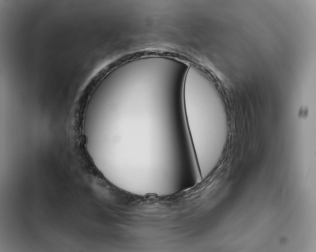 X0000103161256200808221143