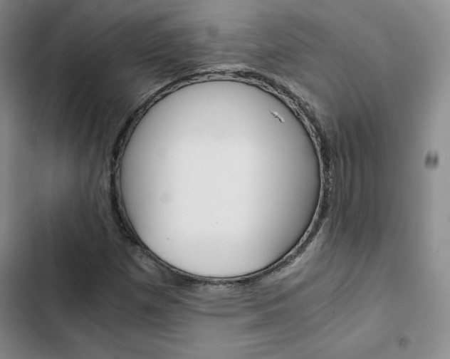 X0000103161257200808221143