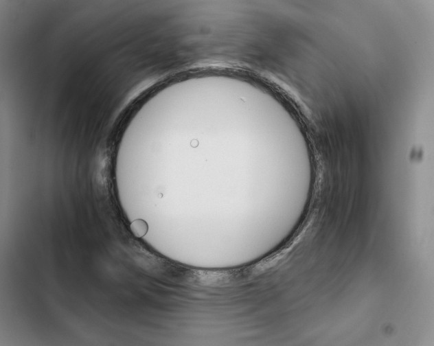X0000103161258200808221143