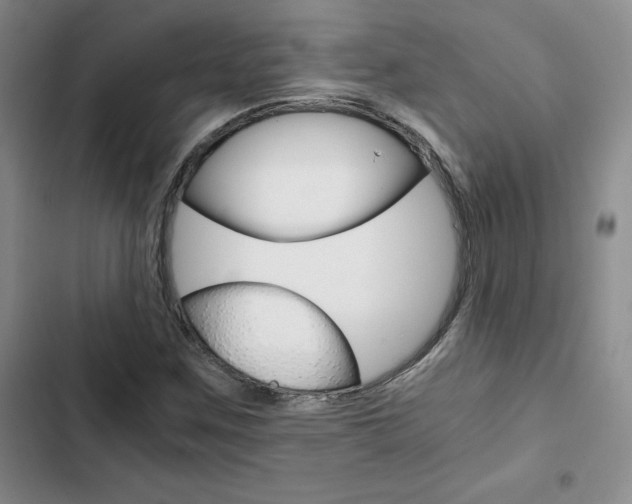 X0000103161259200808221143