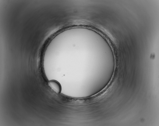 X0000103161261200808221143