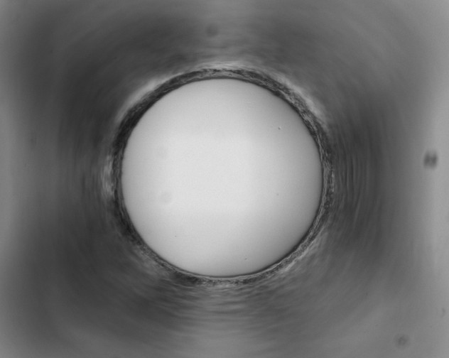 X0000103161262200808221143