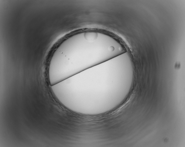 X0000103161263200808221143