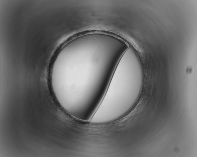 X0000103161264200808221143