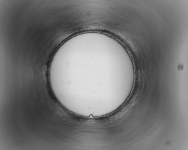 X0000103161265200808221143