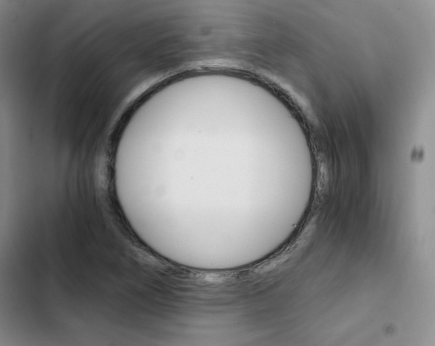 X0000103161266200808221143
