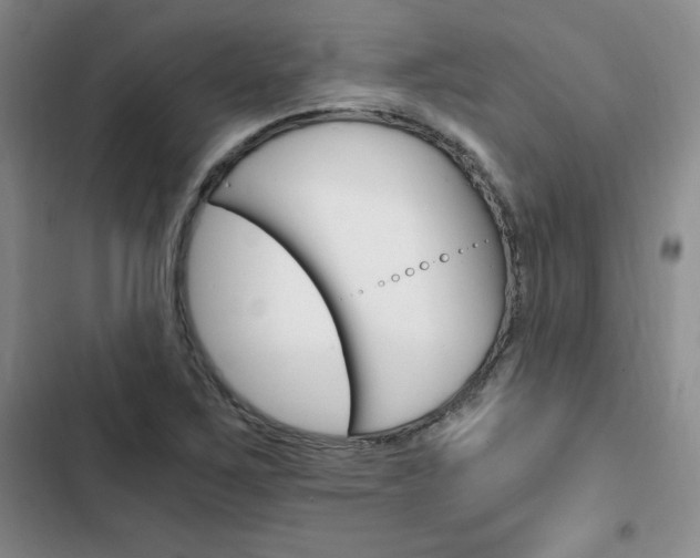 X0000103161267200808221143