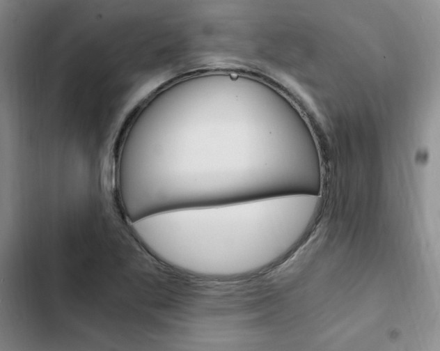 X0000103161269200808221143