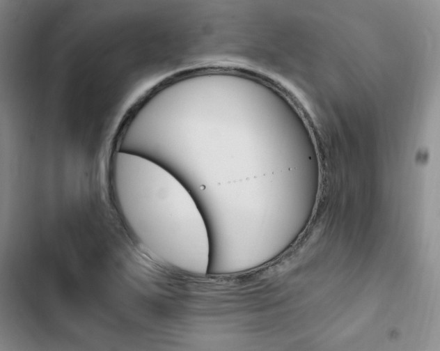 X0000103161271200808221143