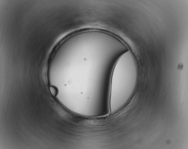 X0000103161272200808221143