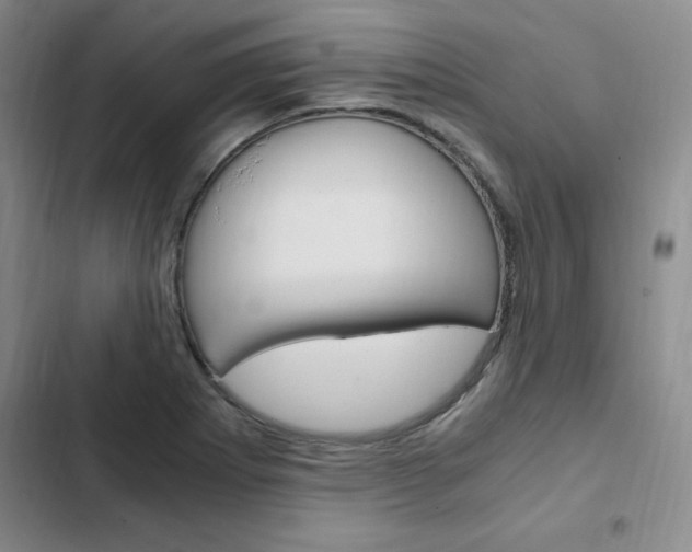 X0000103161273200808221143
