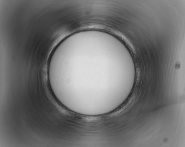 X0000103161274200808221143