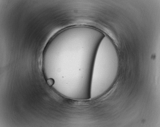X0000103161275200808221143
