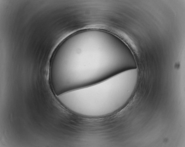 X0000103161276200808221143