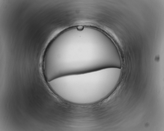X0000103161277200808221143