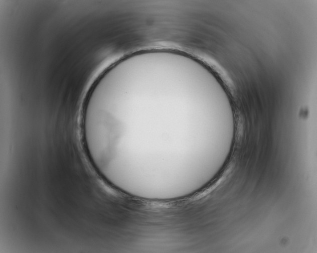 X0000103161278200808221143