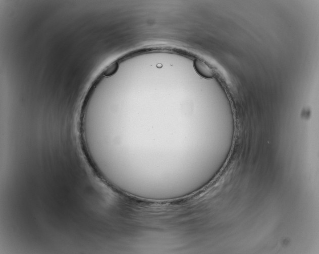 X0000103161279200808221143