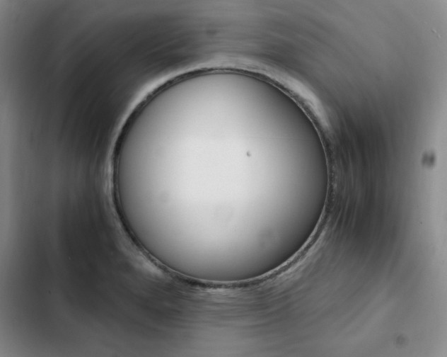X0000103161280200808221143