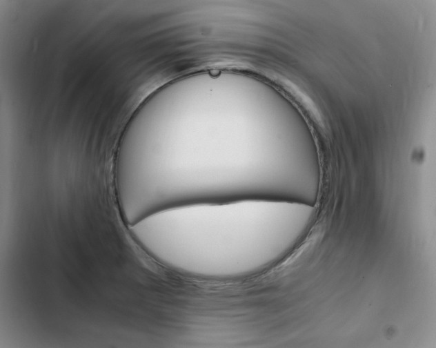 X0000103161281200808221143