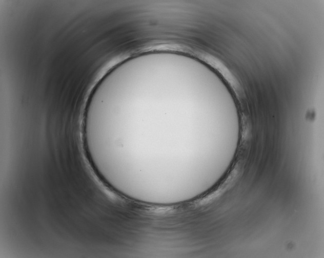 X0000103161282200808221143
