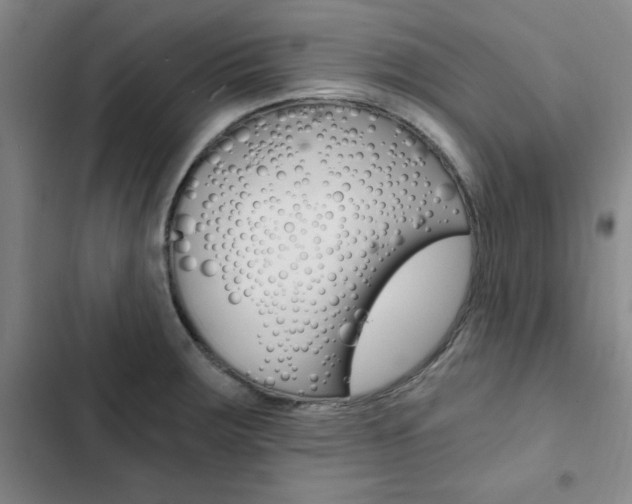 X0000103161283200808221143