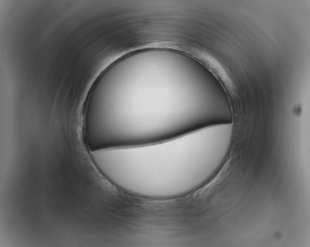 X0000103161284200808221143